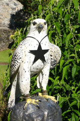 Collana Stella, Catena Lunga Gomma Nera